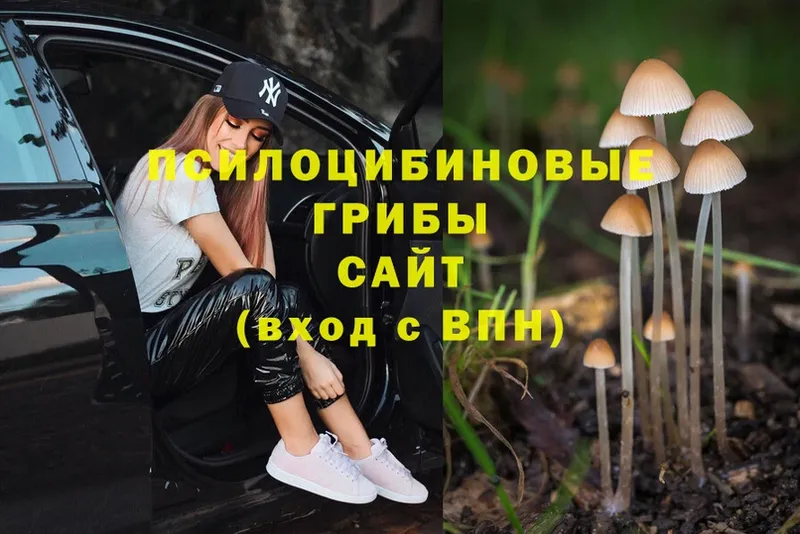 Галлюциногенные грибы Magic Shrooms  Солигалич 